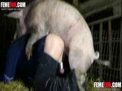 Boar fucking a dude in his ass in this beastiality barn scene a pig fucks a my crazy husband